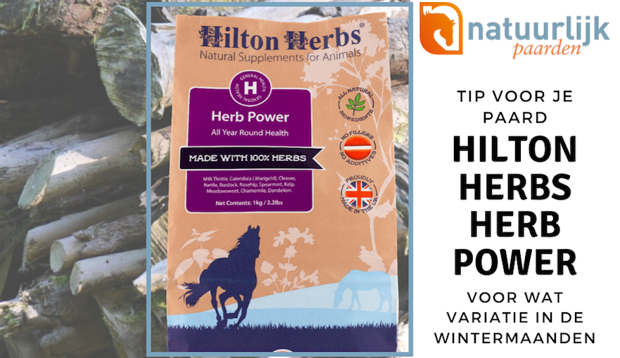 Herb Power voeren voor variatie in de winter
