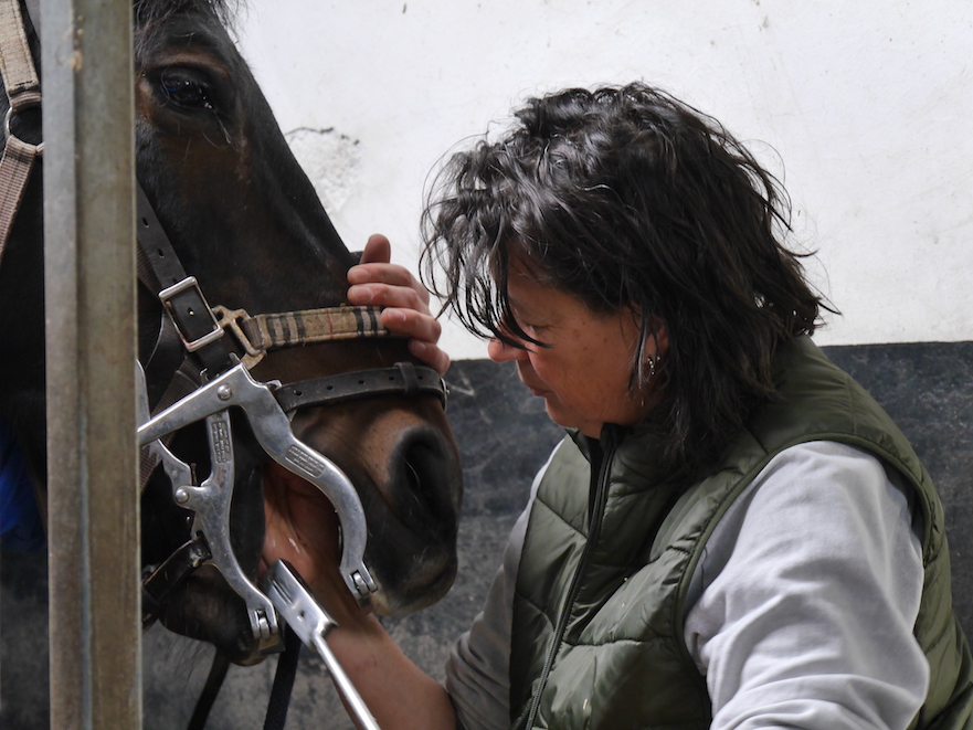 paardentandarts Inge van Soes checkt het gebit van het paard na vijlen