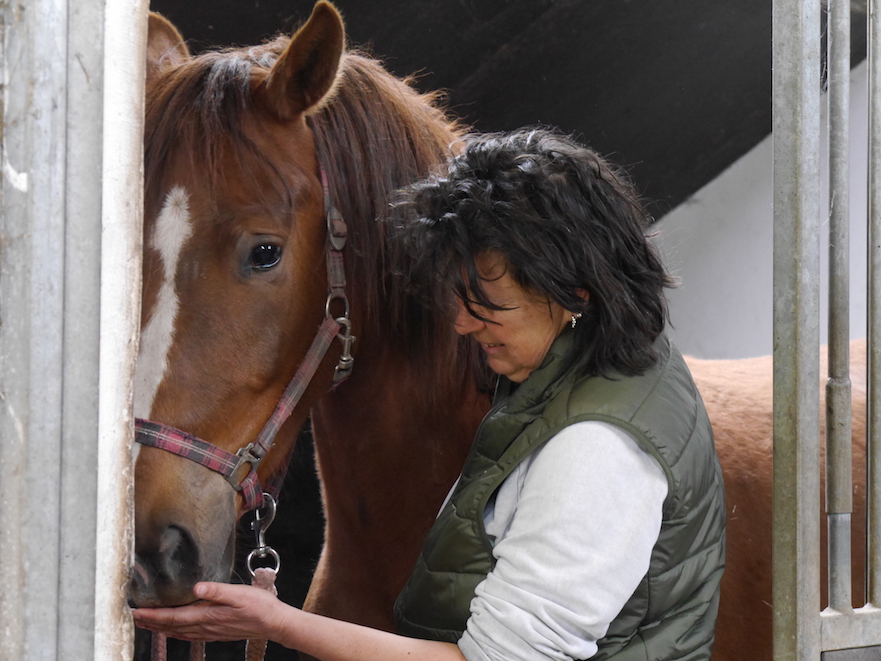 rusig werken met het paard door paardentandarts Inge van Soest