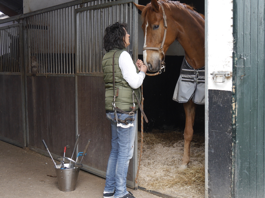 paardentandarts Inge van Soes maakt kennis met paard
